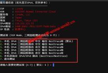 如何测试服务器真实线路情况_使用PING测速工具及一键回程路由追踪脚本来测试服务器线路教程_建站经验分享