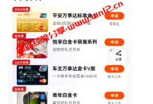 实战申请MasterCard、American Express、VISA信用卡，再也不担心境外支付和注册了_建站经验分享