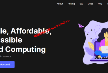 国外直连云服务器选什么线路、机房及商家推荐，V.PS 2023年终优惠详情_建站经验分享