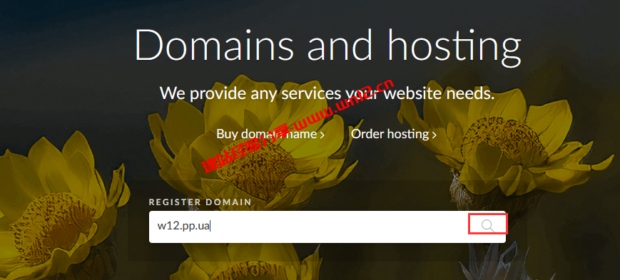乌克兰商家NIC.UA提供永久免费域名.PP.UA申请教程插图2
