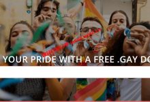 Porkbun提供.gay免费顶级域名，可注册4个数字的免费.gay域名_建站经验分享