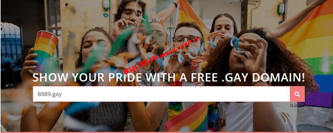 Porkbun提供.gay免费顶级域名，可注册4个数字的免费.gay域名插图