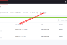 通过Docker一键部署Nginx Proxy Manager及绑定自己域名详细图文教程_建站经验分享