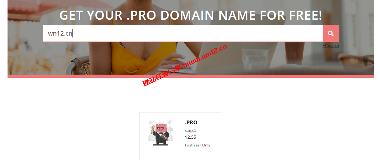 Porkbun最新域名注册优惠活动整理：.pro域名首年免费、.blog域名首年注册$3.58插图