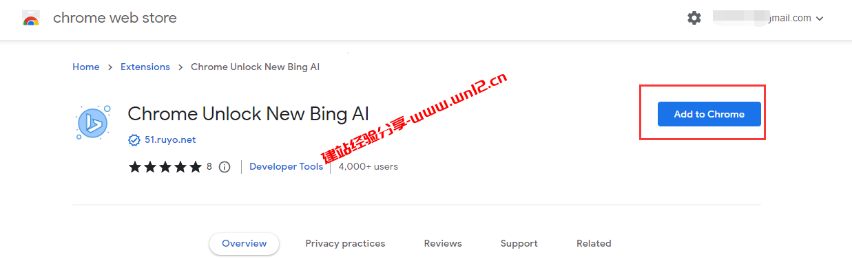如何免费使用New Bing Chat识图功能，在谷歌浏览器安装Chrome Unlock New Bing AI插件即可使用插图2