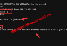 Debian系统版本升级教程，Debian 11在线升级到Debian 12详细图文教程_建站经验分享