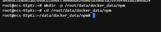 通过Docker一键部署Nginx Proxy Manager及绑定自己域名详细图文教程插图