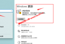 Windows系统优化小技巧，只需通过修改注册表即可一键暂停或启用Windows自动更新功能_建站经验分享