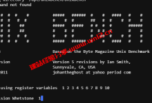 UnixBench服务器性能一键测试脚本，一键测试Linux云服务器、独立服务器综合性能_建站经验分享