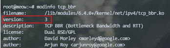 在Debian系统启用Google TCP BBR v3进行网络优化详细教程插图8