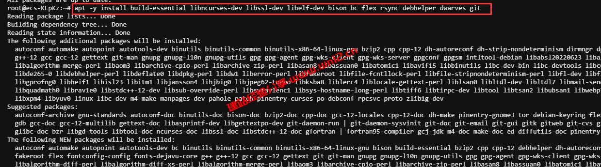 在Debian系统启用Google TCP BBR v3进行网络优化详细教程插图1