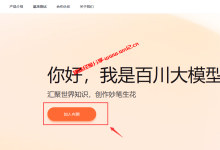 百川大模型开放内测_百川大模型内测申请详细教程_建站经验分享