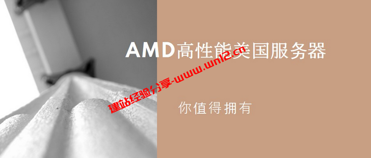 AMD高性能美国服务器怎么样？AMD服务器优势及适用场景插图