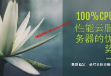 什么是100%CPU性能云服务器，独享CPU性能云服务器推荐_建站经验分享