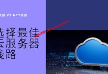 国内用户选日本云服务器选IIJ线路还还NTT线路好_建站经验分享