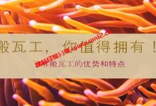 搬瓦工怎么样？搬瓦工全场云服务器及限量款云服务器整理_建站经验分享