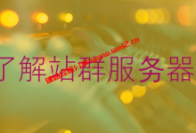 站群服务器是什么？站群服务器服务一般用于哪些用途_建站经验分享