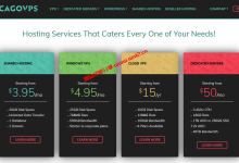 ChicagoVPS 2023年黑五美国纽约云服务器特惠$9/年起_建站经验分享