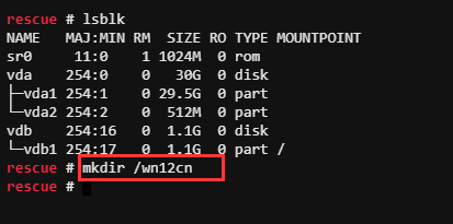 Linux救援模式下硬盘数据找回实战教程插图4
