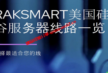 RAKsmart美国硅谷服务器有哪些线路可选？如何选择合适的线路_建站经验分享