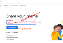 谷歌开放.MEME顶级域名抢先注册活动，如何抢注.MEME域名介绍_建站经验分享
