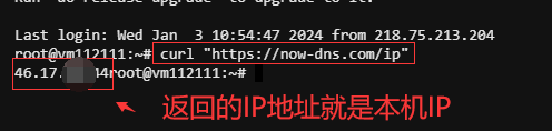 Now-DNS免费DDNS域名API解析动态IP及免费二级域名注册使用指南插图6