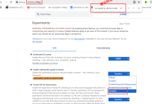如何避免自己使用的Chrome谷歌浏览器成为Gemini的免费AI算力节点_建站经验分享