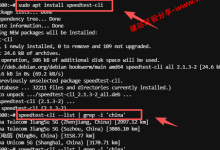 当前依旧可用的快速找到SpeedTest可用中国测速节点的方法_建站经验分享